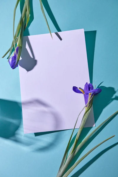 青い背景のアイリスの花で飾られた白紙のはがき — ストック写真