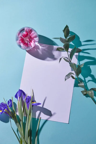 Cartão Postal Branco Decorado Com Flores Íris Fundo Azul — Fotografia de Stock