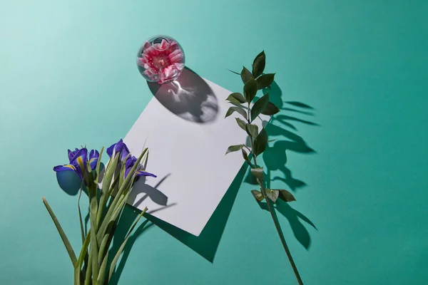 Cartão Postal Branco Decorado Com Flores Íris Fundo Azul — Fotografia de Stock