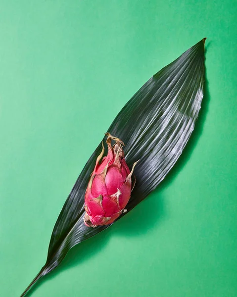 Reife Tropische Frucht Pitahaya Oder Drachenfrucht Auf Grünem Blatt — Stockfoto