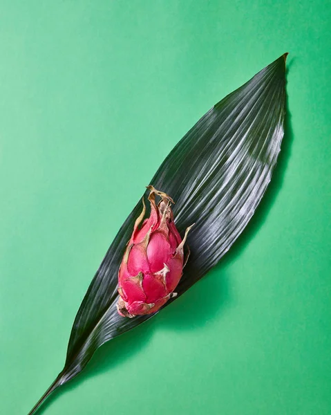 Fruits Tropicaux Mûrs Pitahaya Dragonfruit Sur Feuille Verte — Photo