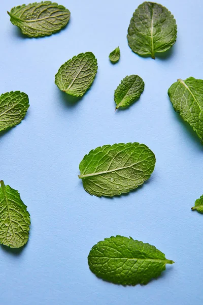 Creative Pattern Fresh Green Mint Leaves Blue Background — Stock Photo, Image
