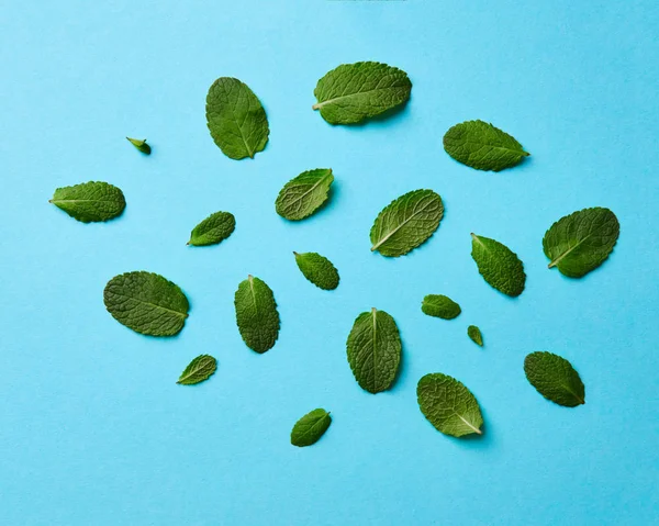 Творческий Узор Свежих Зеленых Листьев Мяты Синем Фоне — стоковое фото
