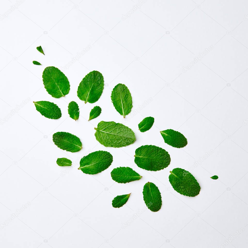 creative pattern of fresh green mint leaves on white background