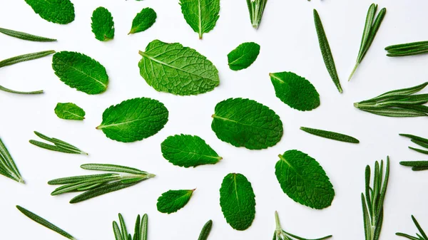 Δημιουργική Σύνθεση Από Φρέσκα Πράσινα Φύλλα Δυόσμου Και Δεντρολίβανο Λευκό — Φωτογραφία Αρχείου