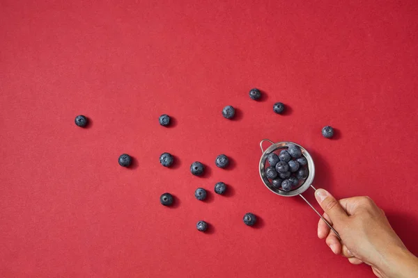 Weibliche Hand Hält Sieb Mit Frischen Natürlichen Bio Blaubeeren Konzept — Stockfoto