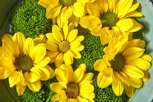 Schönen Floralen Sommer Hintergrund Aus Verschiedenen Natürlichen Bunten Bio Blumen — Stockfoto