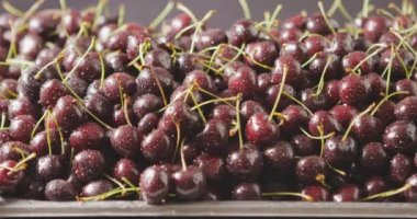 Taze ıslak kiraz yığını, video. 