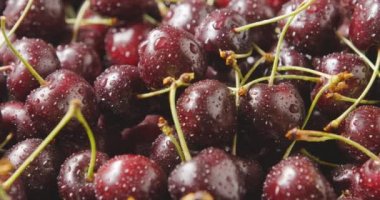 Taze ıslak kiraz yığını, video. 