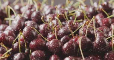 Taze ıslak kiraz yığını, video. 