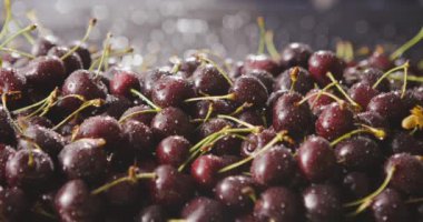 Taze ıslak kiraz yığını, video. 