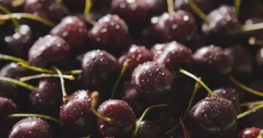 Taze ıslak kiraz yığını, video. 