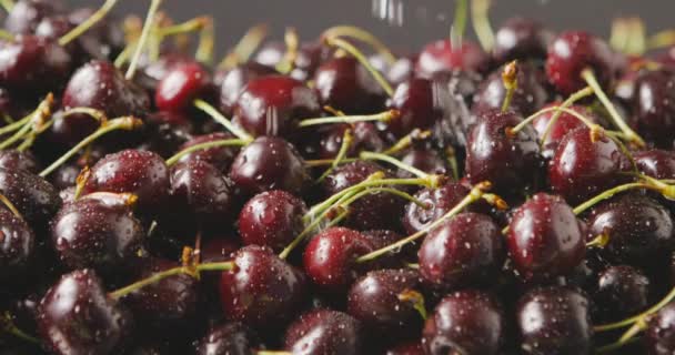 Pile Fresh Wet Ripe Cherries Video — Stock Video