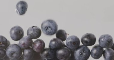 yığın taze olgun organik yaban mersini, video 