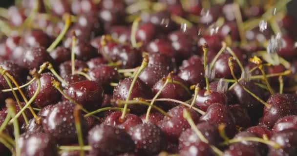 Pile Fresh Wet Ripe Cherries Video — Stock Video