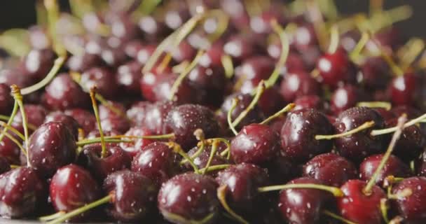 Pile Fresh Wet Ripe Cherries Video — Stock Video