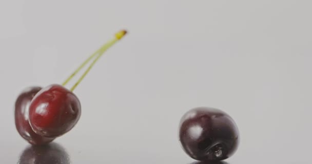 Fresh Ripe Organic Cherries Falling Grey Background Video — Stock Video