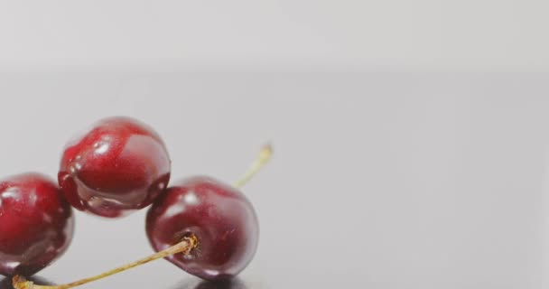 Fresh Ripe Organic Cherries Falling Grey Background Video — Stock Video