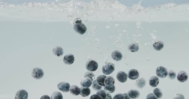 Pile Fresh Ripe Cherries Falling Water Video — Stock Video