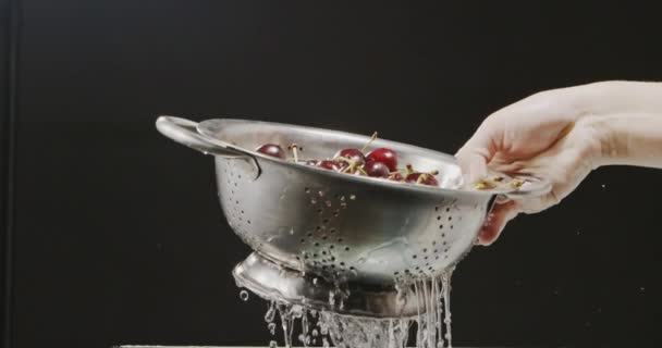 Female Hand Holding Colander Ripe Cherries Black Background Video — Stock Video