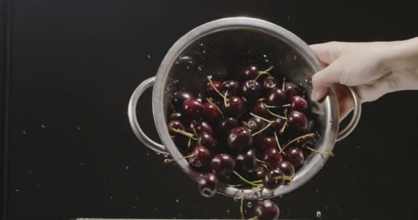 Female Hand Holding Colander Ripe Cherries Black Background Video — Stock Video