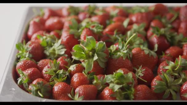 Pila Fresas Frescas Maduras Video — Vídeo de stock