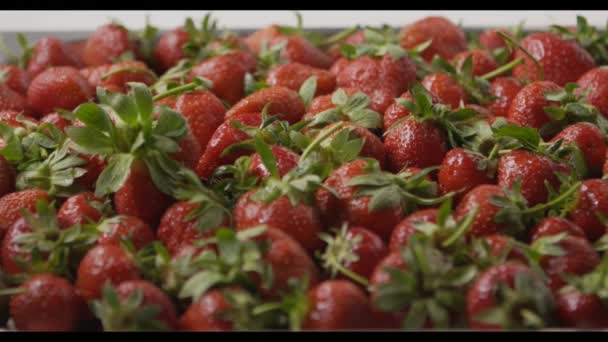 Pile Fraises Fraîches Mûres Vidéo — Video