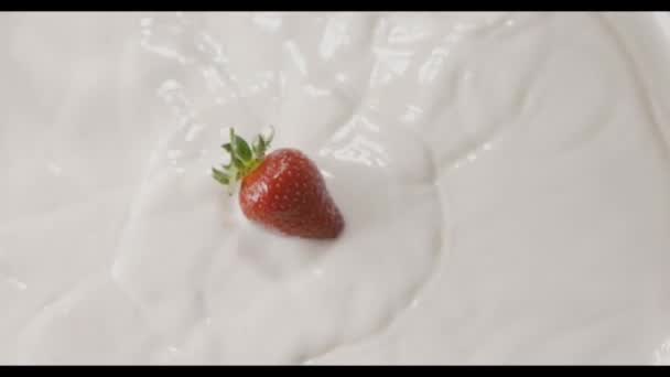 Frische Reife Erdbeeren Die Milch Fallen Video — Stockvideo