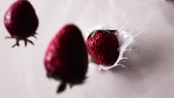 Frische Reife Erdbeeren Die Milch Fallen Video — Stockvideo