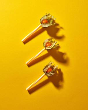 sarı physalis çilek sarı arka plan üzerinde sopa ile