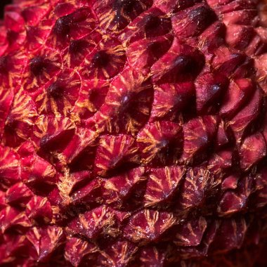 Makro fotoğraf, tropikal lychee meyve kabuğu yüzeyine yakın çekim. Arka plan ve egzotik meyve dokusuna