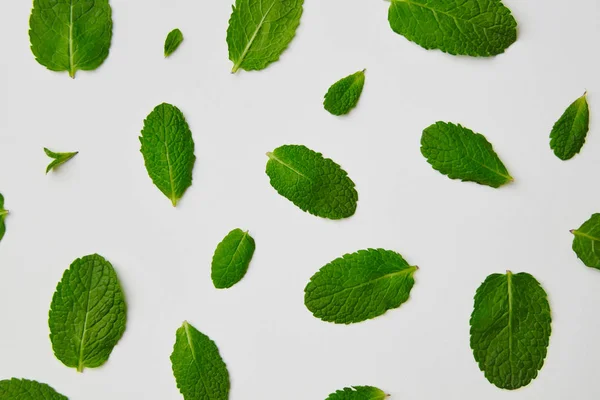 Patrón Creativo Hojas Menta Verde Fresca Sobre Fondo Gris —  Fotos de Stock