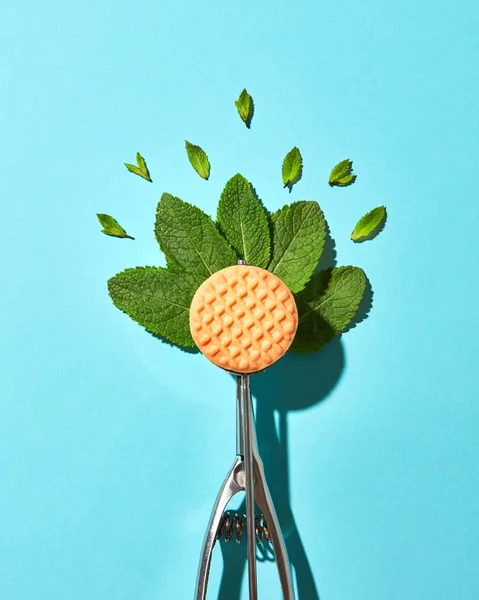 민트에서 크리에이 그림자와 배경에 아이스크림 비스킷에 숟가락에 나뭇잎 현대적인 스타일 — 스톡 사진