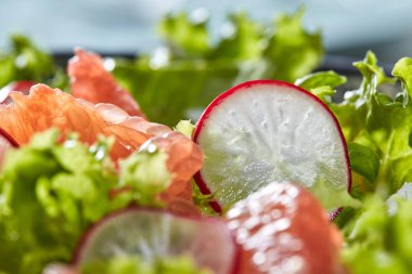 Ev yapımı taze salata yeşillik, turp, greyfurt, peynir, portre