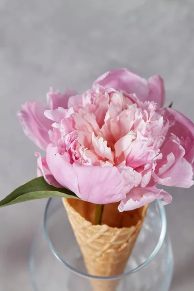 Verre Transparent Avec Fleur Pivoine Rose Cône Gaufre Verre — Photo