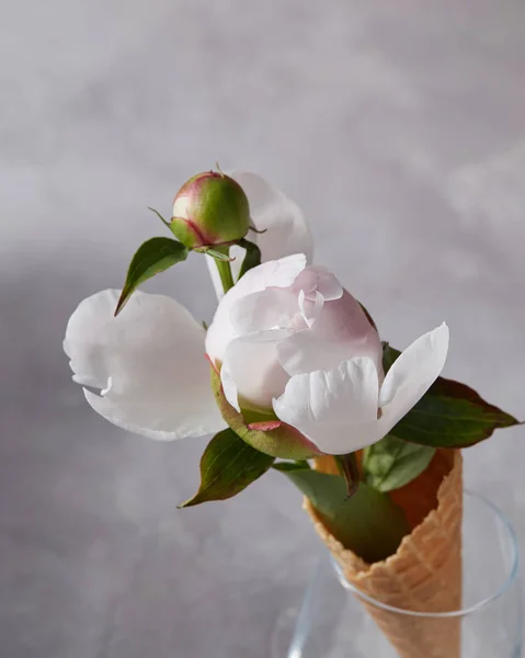 ガラス ワッフル コーンに牡丹の花の花びらと透明なガラス — ストック写真