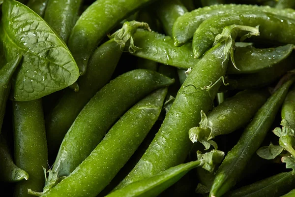 エンドウ豆 食品背景の自然有機緑棒 — ストック写真