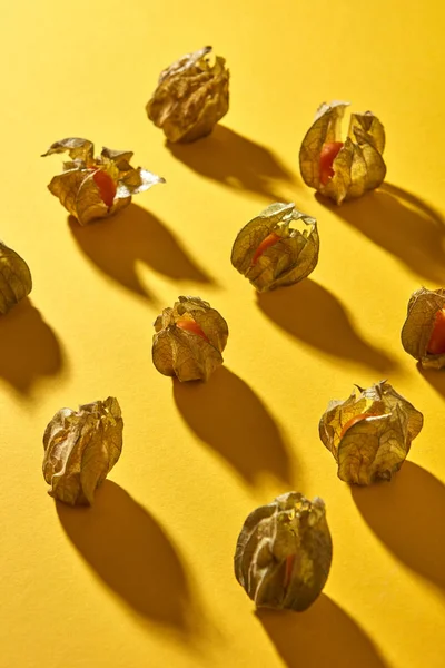 Modello Bacche Physalis Gialle Sfondo Giallo — Foto Stock