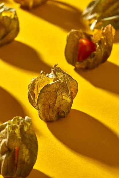 黄锦浆果图案的黄色背景 — 图库照片