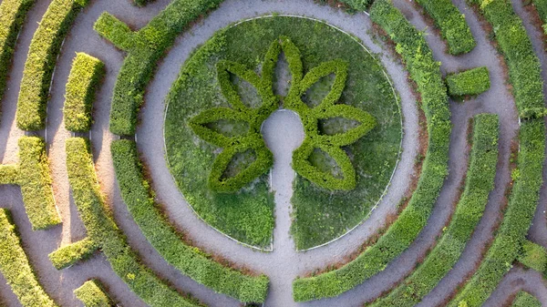 Luchtfoto Van Natuurlijke Labyrint Botanische Tuin Met Groene Steegjes — Stockfoto