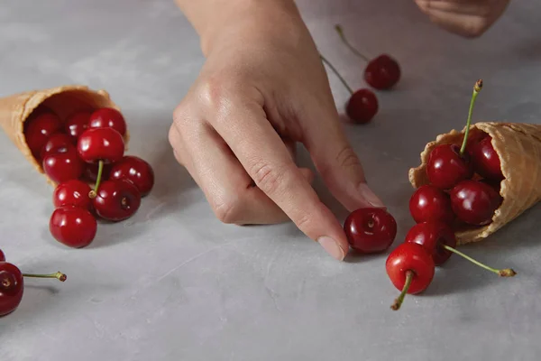 Weibliche Hand Legt Reife Rote Kirschen Knusprige Waffelbecher Für Hausgemachtes — Stockfoto