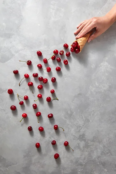 Fresh Cherries Scattered Out Waffle Cone Stone Background Female Hand — Stock Photo, Image