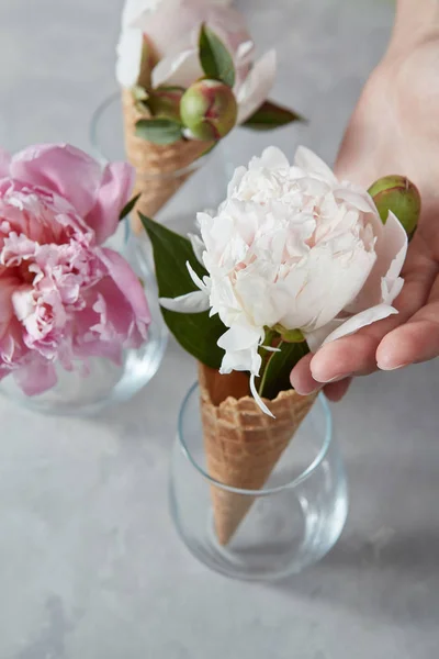 Mano Femminile Mettendo Cono Cialda Con Peonia Vetro — Foto Stock