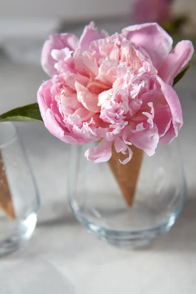 Glass Delicate Pink Peony Flower Wafer Cone Gray Stone Table — Stock Photo, Image