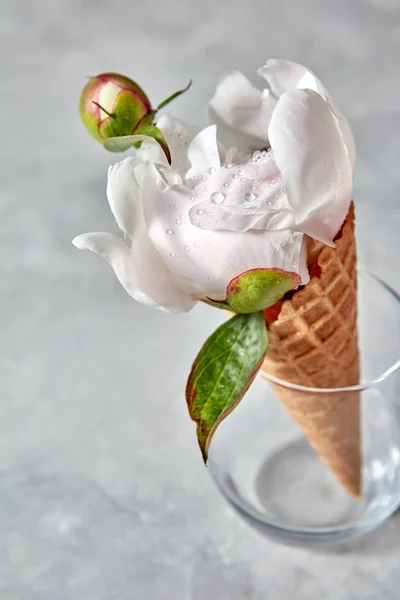 Kaca Dengan Bunga Peony Putih Halus Dalam Kerucut Wafer Atas — Stok Foto