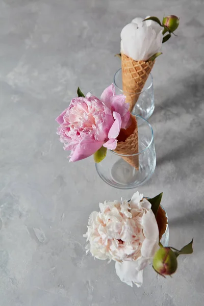 Trois Vases Verre Avec Pivoines Blanches Roses Dans Des Cônes — Photo