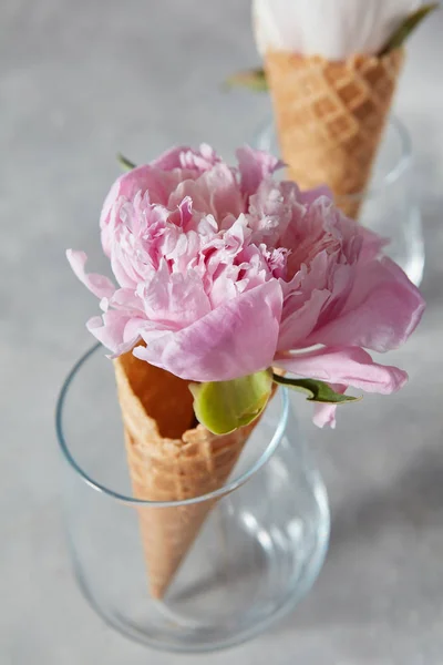 Vasos Vidro Com Peônias Brancas Rosa Cones Waffle — Fotografia de Stock