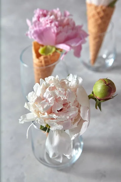 Vases Verre Avec Pivoines Blanches Roses Dans Des Cônes Gaufre — Photo