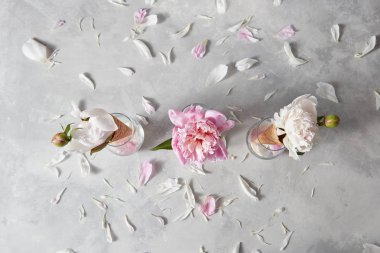 beyaz ve pembe peonies gözleme koniler, üstten görünüm içinde ile cam vazolar 