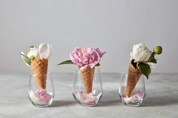 Vases Verre Avec Pivoines Blanches Roses Dans Des Cônes Gaufre — Photo